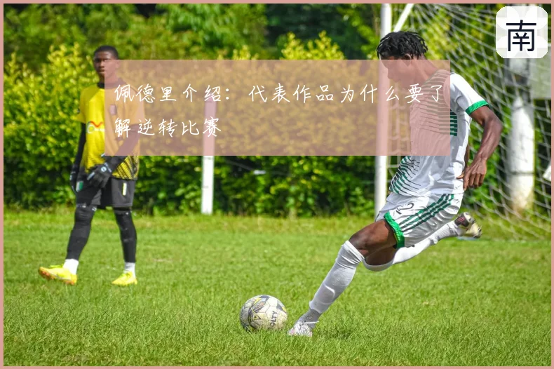 佩德里介绍:代表作品为什么要了解逆转比赛